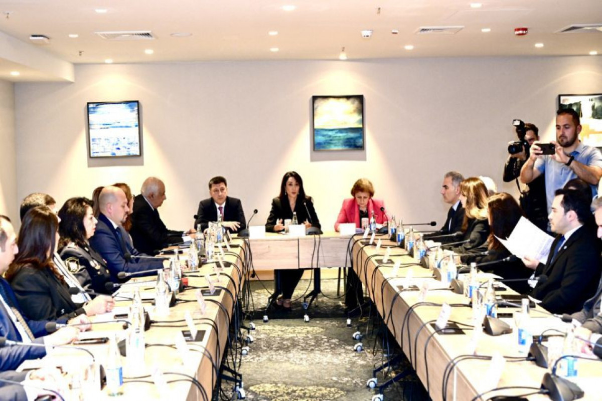 “Psixi sağlamlıq və insan hüquqları” sahəsində İşçi Qrupun ilk iclası keçirilib
