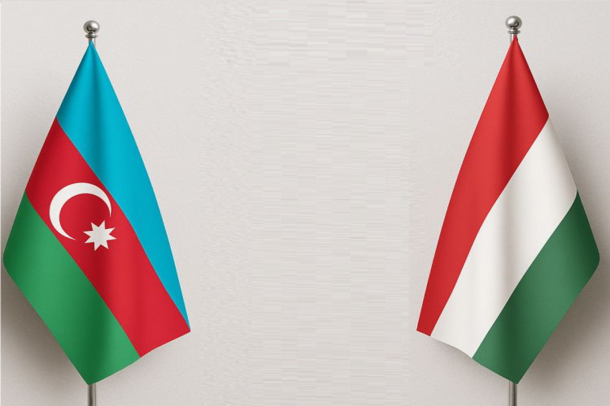 Azərbaycan və Macarıstan arasında siyasi məsləhətləşmələr keçirilib