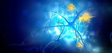 Alzheimer və Xərçəng müalicəsində yeni ümid
