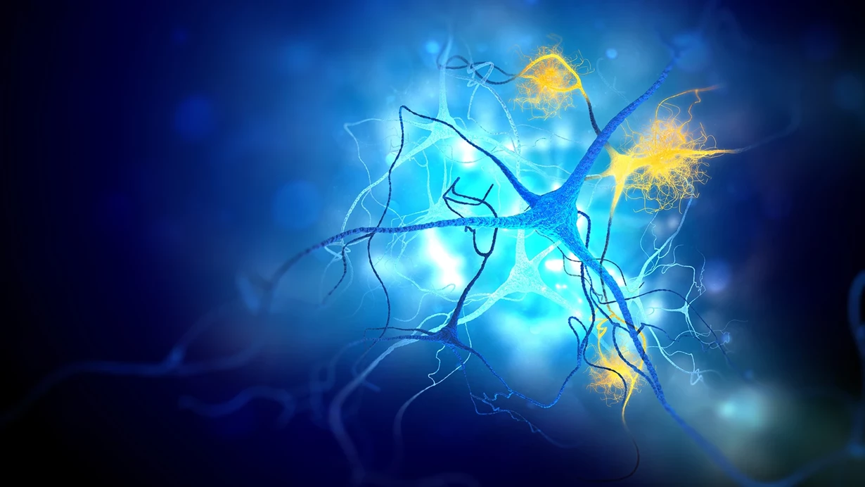 Alzheimer və Xərçəng müalicəsində yeni ümid