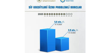 Muxtar respublikada bu ilin 9 ayında verilən güzəştli kreditlərin 7,7 milyon manatı geri qaytarılıb