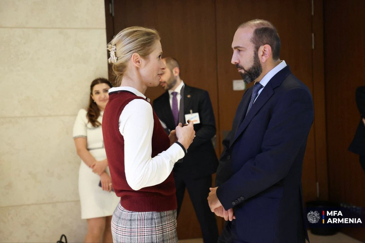 Mirzoyan və Kallas tərəfdaşlıq üzrə yeni gündəliyi müzakirə edib