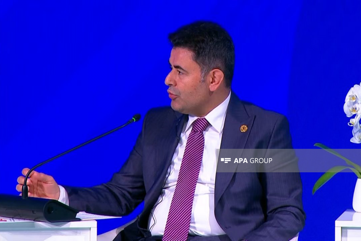 Türkiyəli nazir müavini: Zəngəzur dəhlizi və BTQ bir-birini tamamlayacaq
