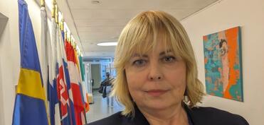 "Rusiyanın Ukraynanı tanımasına ehtiyacı yoxdur"