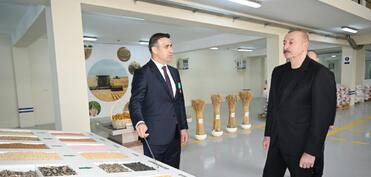 Prezident Sabirabad Sənaye Məhəlləsində toxum istehsalı müəssisəsinin fəaliyyəti ilə tanış olub