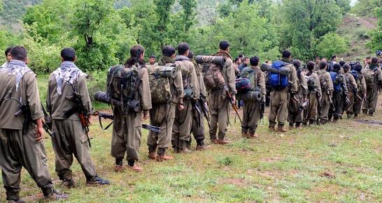 "Türkiyədə PKK probleminin həlli..."