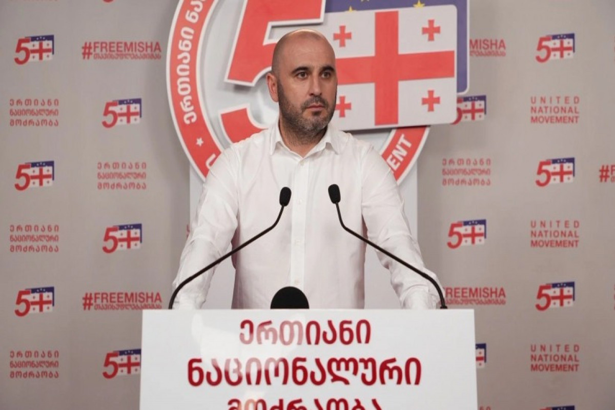 Tbilisi məhkəməsi müxalifət liderini həbsdə saxlayıb