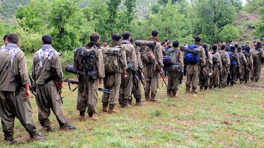 "Türkiyədə PKK probleminin həlli..."