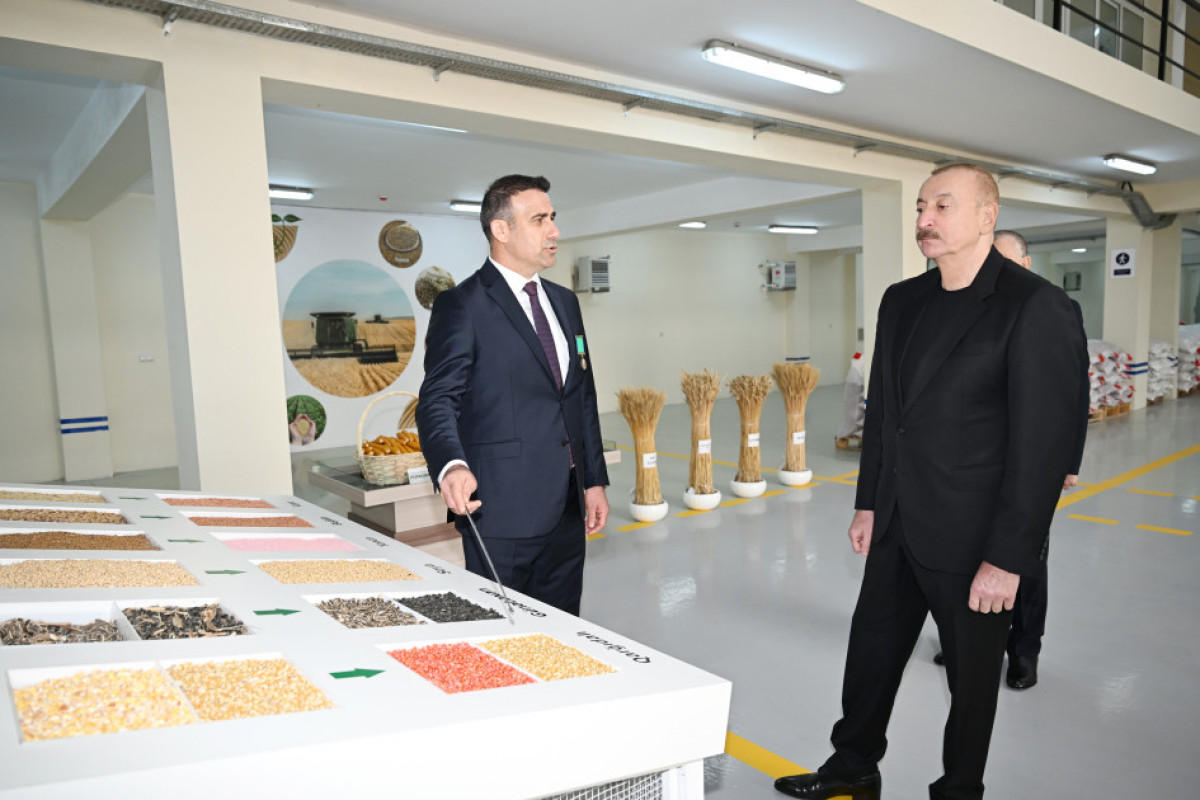 Prezident Sabirabad Sənaye Məhəlləsində toxum istehsalı müəssisəsinin fəaliyyəti ilə tanış olub