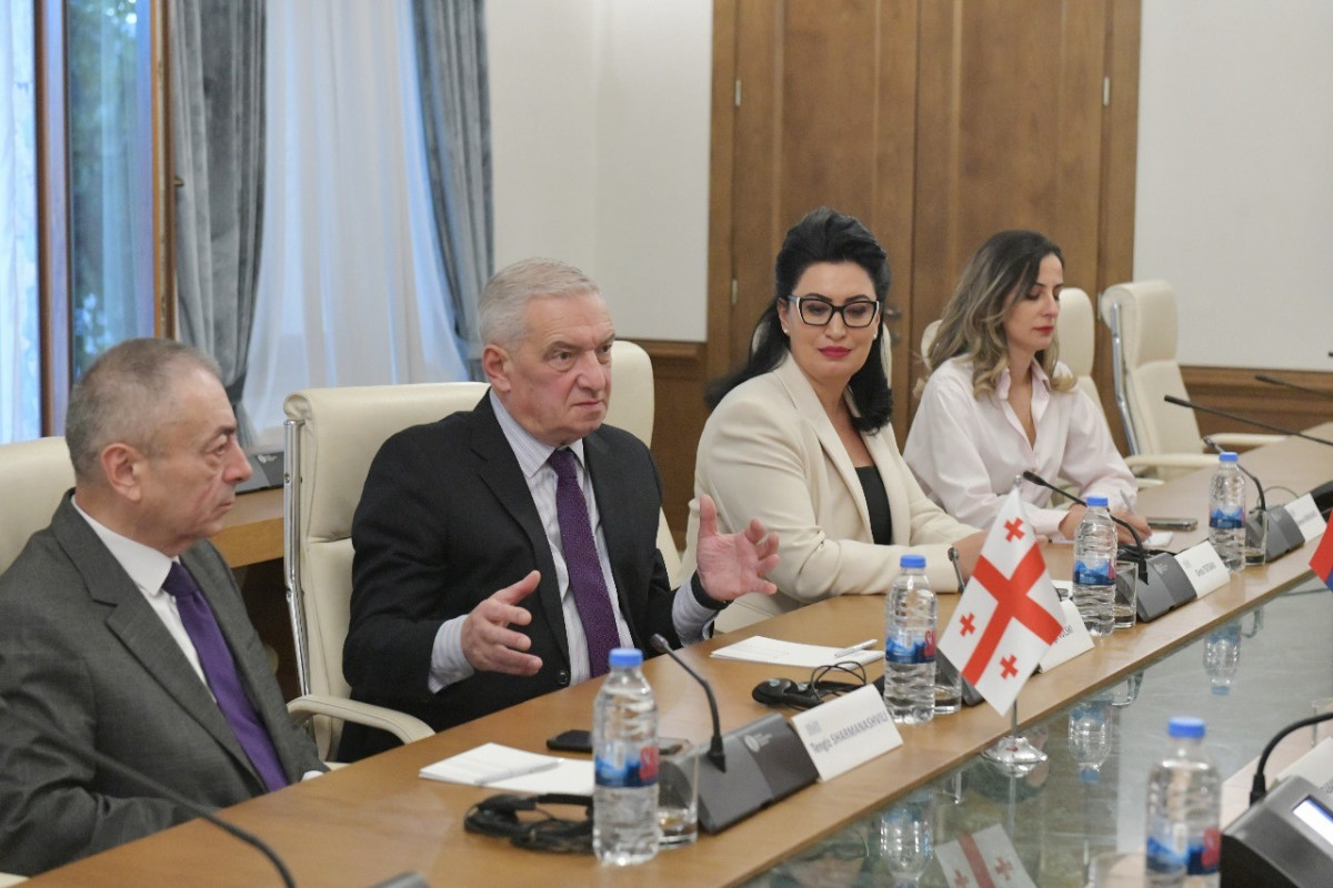 Gürcü vitse-spiker: Azərbaycan-Ermənistan danışıqlarının uğurla yekunlaşacağına ümid edirik