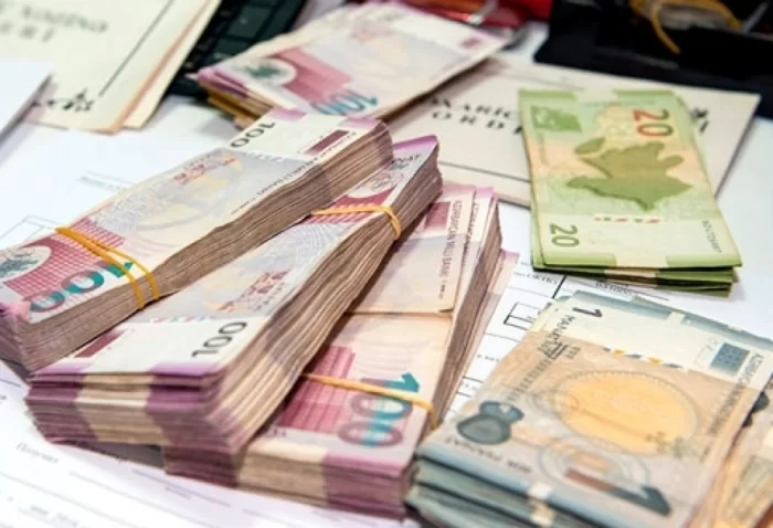 Azərbaycanın daxili dövlət borcunun strukturu açıqlanıb