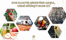 Agentlik: 20-dən çox KOB subyekti birləşəcək