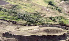 Türkiyədə arxeoloqlar 1600 illik şərab zavodu aşkar ediblər