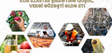 Agentlik: 20-dən çox KOB subyekti birləşəcək