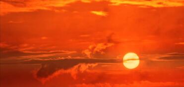 Artan temperatur hər dəqiqə dünyada bir nəfərin ölümünə səbəb olur