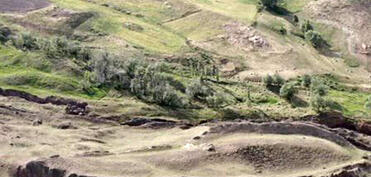 Türkiyədə arxeoloqlar 1600 illik şərab zavodu aşkar ediblər