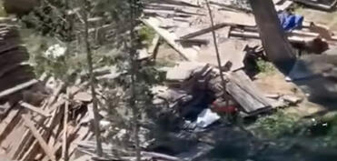 Sumqayıtda ağac kəsilməsi faktı üzə araşdırma aparılır