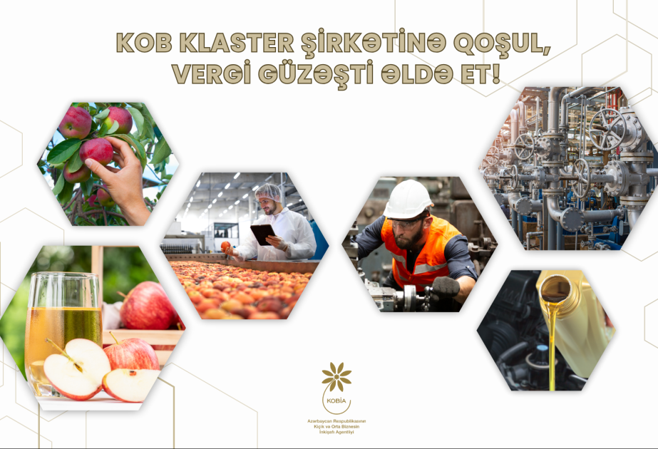 Agentlik: 20-dən çox KOB subyekti birləşəcək