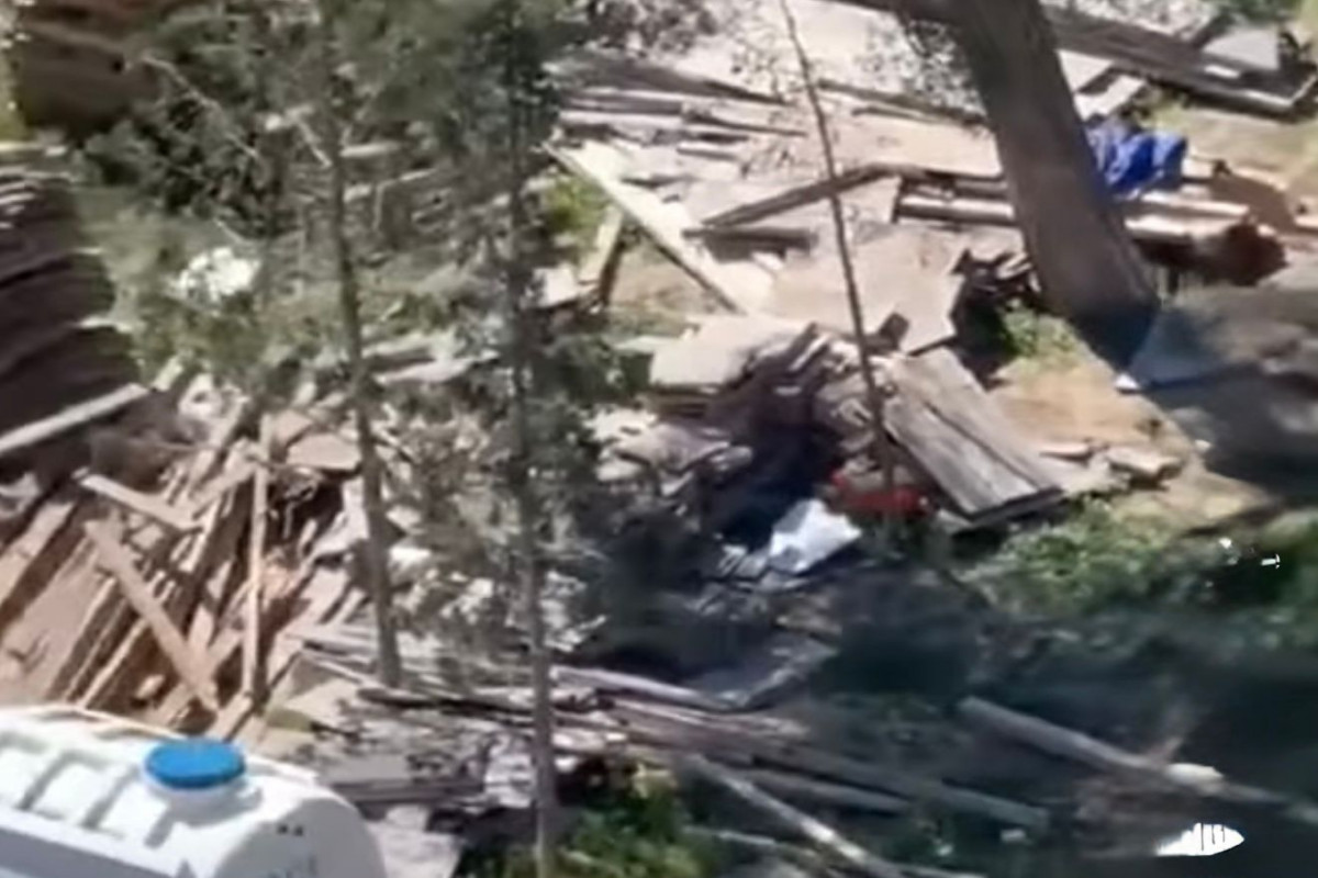 Sumqayıtda ağac kəsilməsi faktı üzə araşdırma aparılır