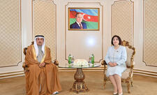 Milli Məclis və BƏƏ Federal Milli Şurasının sədrlərinin görüşü olub