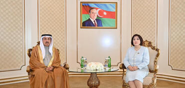 Milli Məclis və BƏƏ Federal Milli Şurasının sədrlərinin görüşü olub