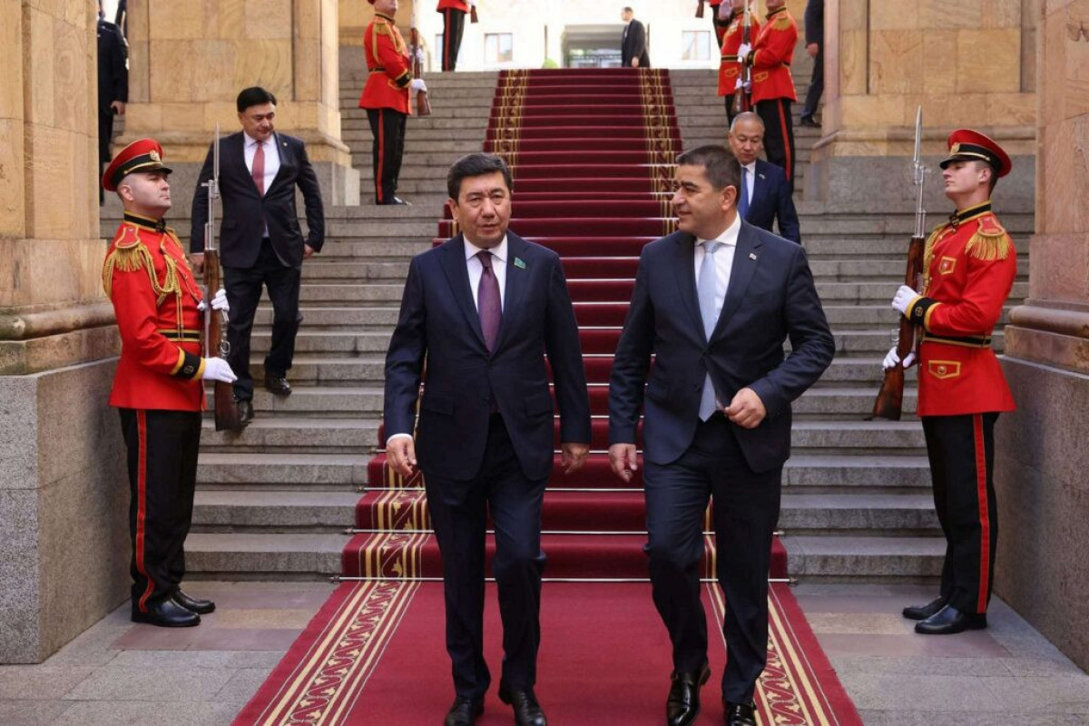 Orta Dəhlizin inkişafında Gürcüstan-Qazaxıstan əməkdaşlığı müzakirə olunub