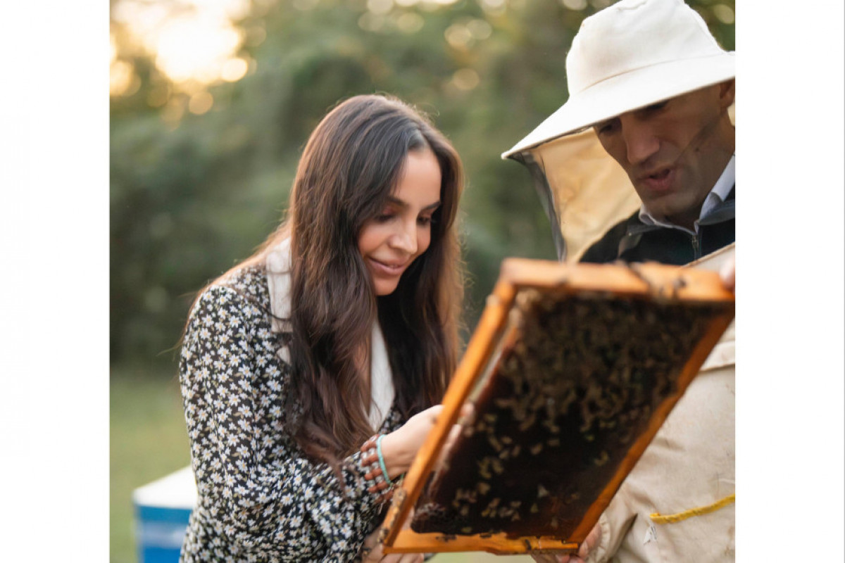 Leyla Əliyeva Qəbələdə “Gənc arıçı” layihəsinin iştirakçısı ilə görüşüb