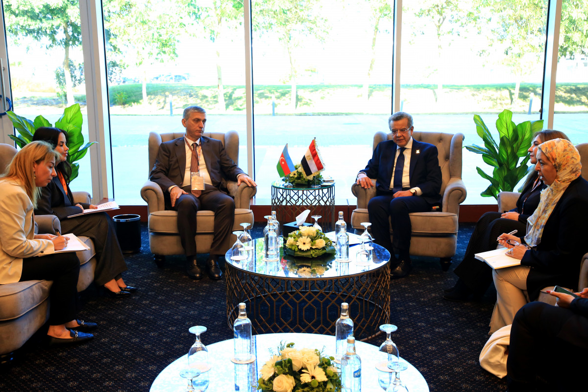 Azərbaycan və Misir süni intellektin dövlət auditində tətbiqini müzakirə edib