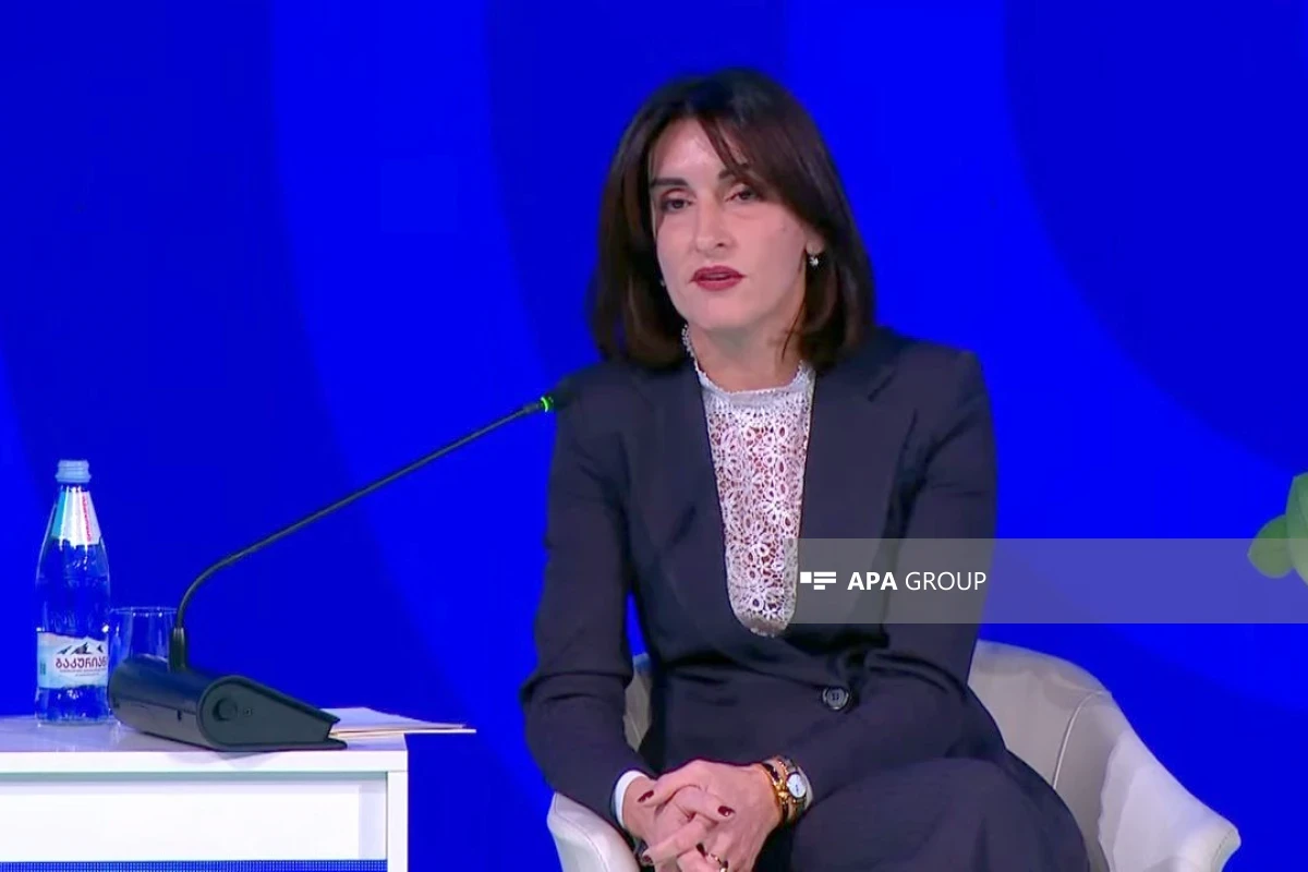 Gürcüstanın XİN rəhbəri: Azərbaycanla strateji tərəfdaşlığın çox ciddi əhəmiyyəti var