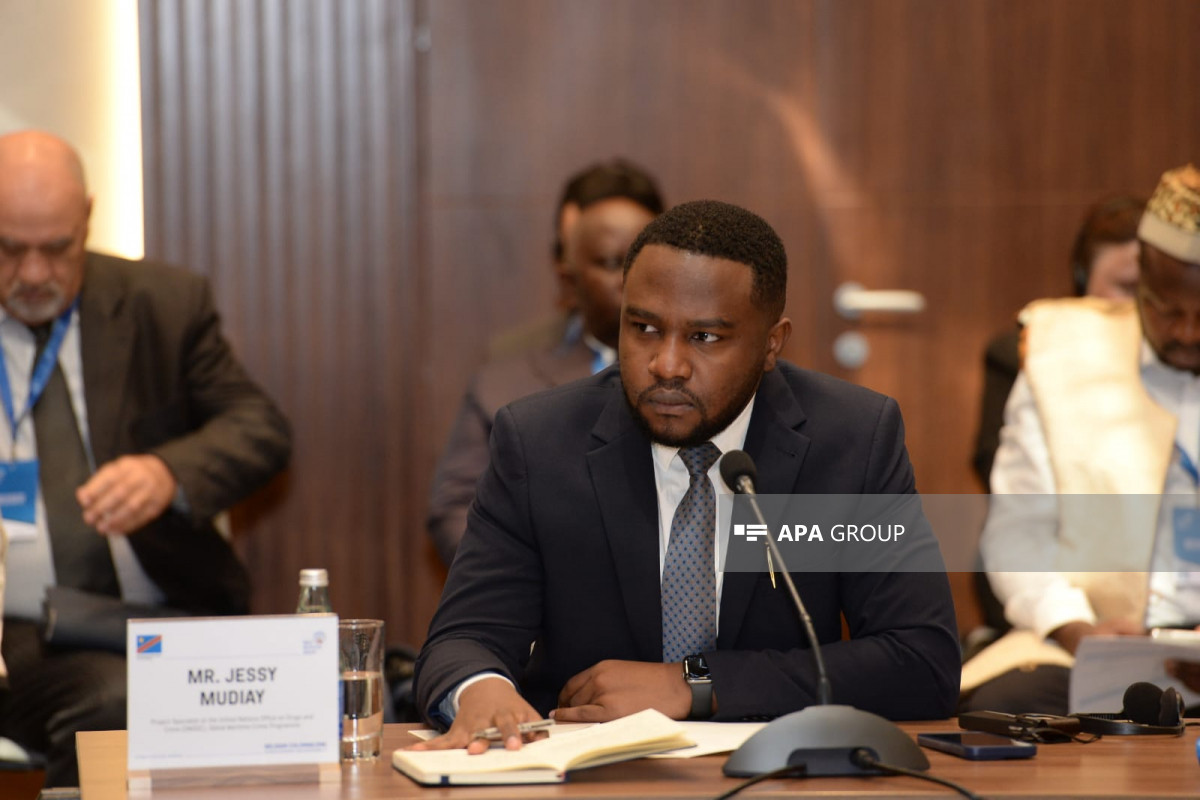 BMT mütəxəssisi müstəmləkəçiliyə qarşı beynəlxalq əməkdaşlığı gücləndirməyə çağırıb