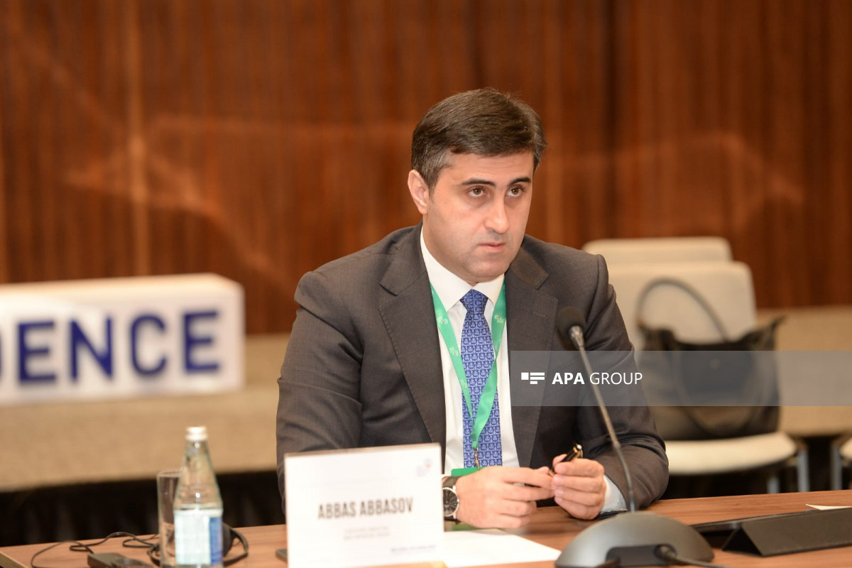 Bakı Təşəbbüs Qrupu: Mərkəzi Afrikada törədilmiş cinayətlərə görə kompensasiyanın ödənilməsinə nail olacağıq