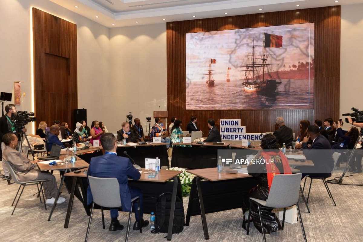 Tədqiqatçı: Belçika konqoluları öz hüquq və azadlıqlarından tamamilə məhrum etmişdi