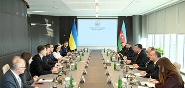 Azərbaycan və Ukrayna birgə dərman vasitələri istehsal edə bilər