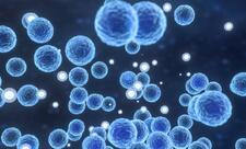 ABŞ-da "Listeria" epidemiyası: 6 ölü, 25-i xəstəxanaya yerləşdirilib