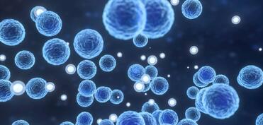 ABŞ-da "Listeria" epidemiyası: 6 ölü, 25-i xəstəxanaya yerləşdirilib