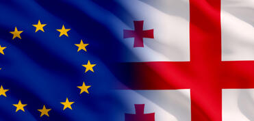 Gürcüstan XİN Arvopa Komissiyasının hesabatını qərəzli adlandırıb