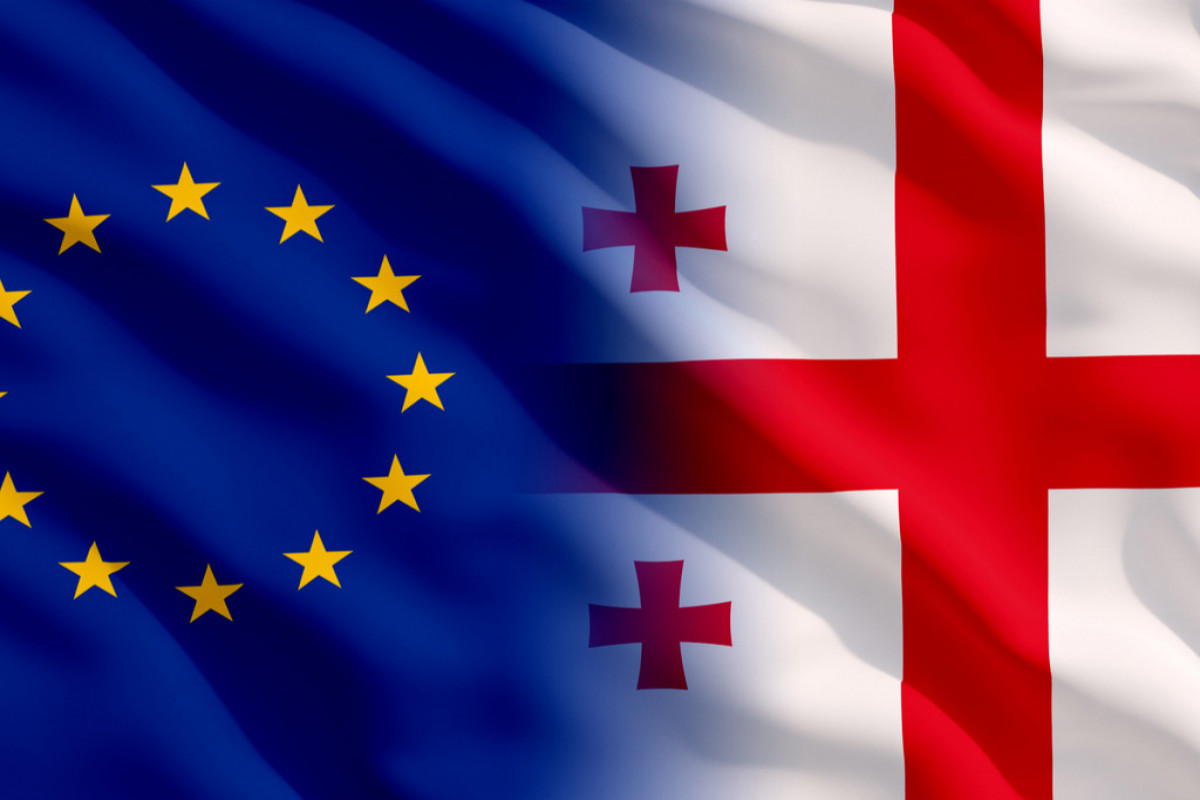 Gürcüstan XİN Arvopa Komissiyasının hesabatını qərəzli adlandırıb