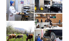 Gələn il 15 min ailə özünüməşğulluq proqramına cəlb ediləcək