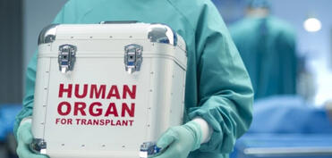 Azərbaycanda donor gözləyənlərin sayı 1000 nəfərdən çoxdur