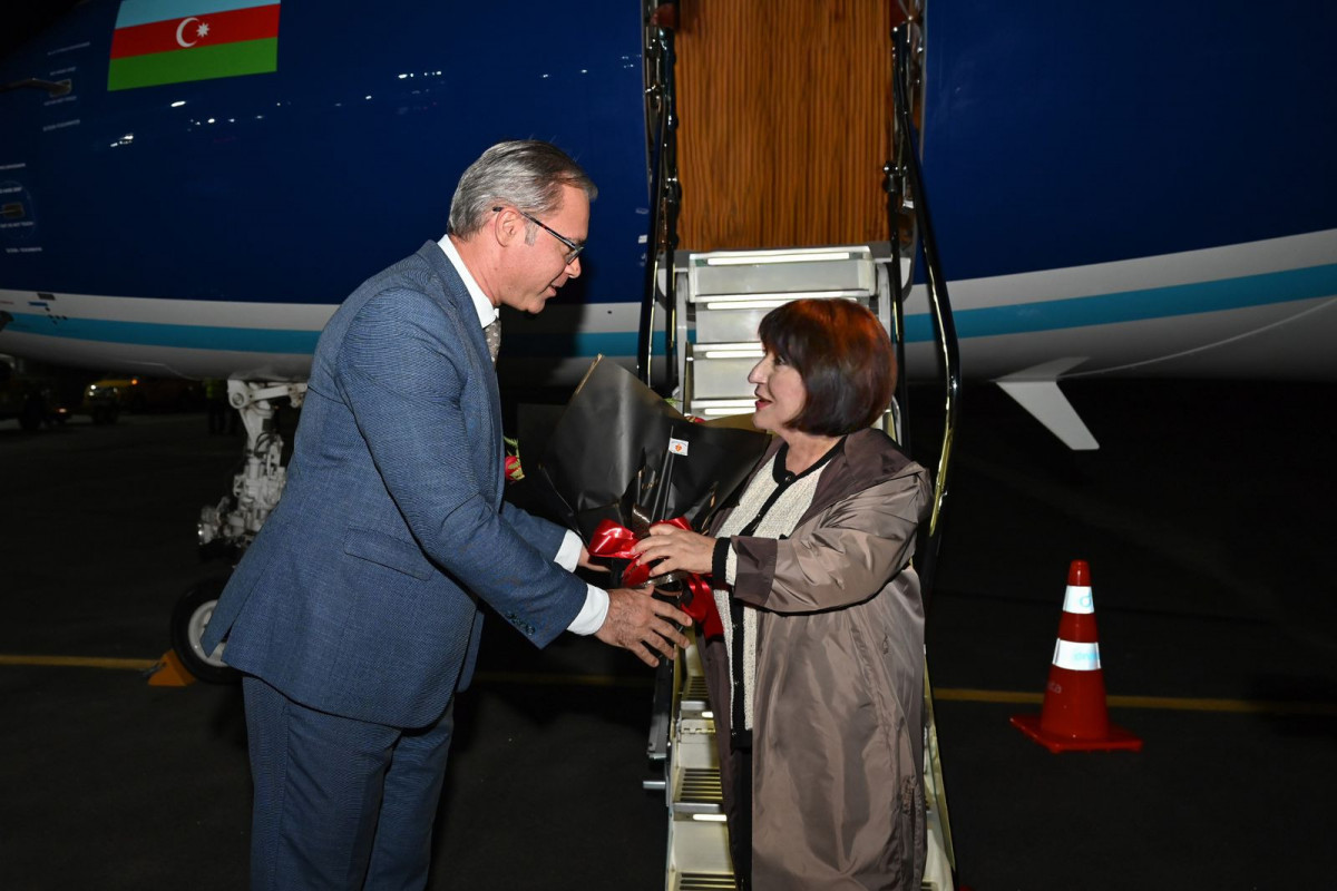 Milli Məclisin sədri Braziliyaya səfər edib, COP30-da iştirak edəcək
