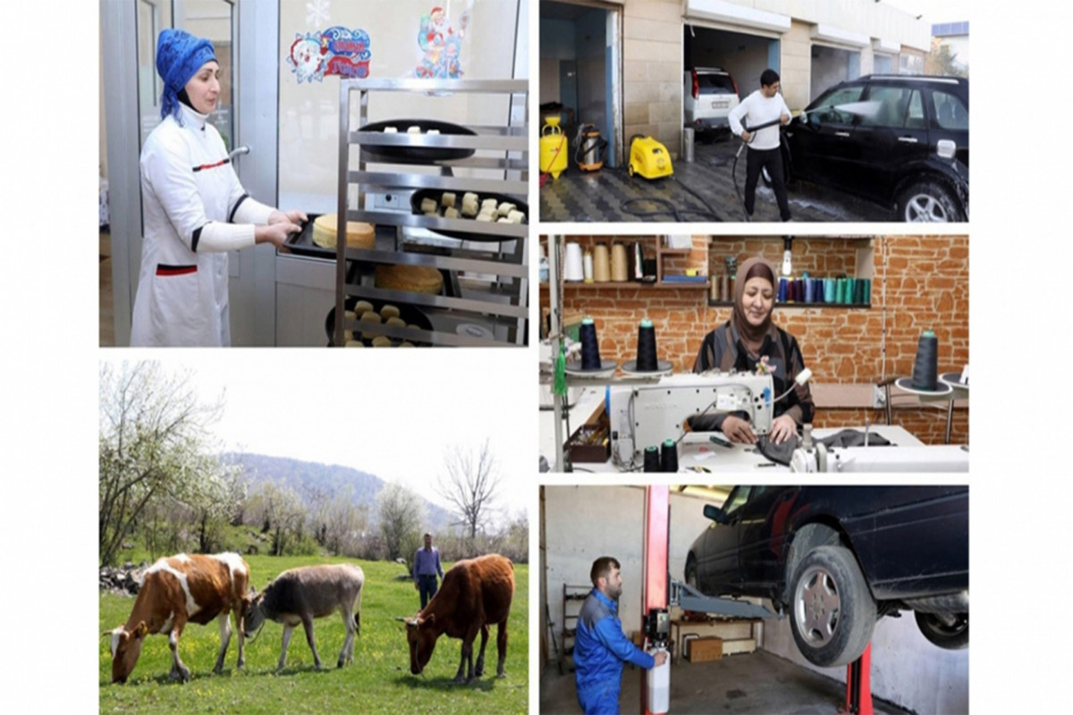 Gələn il 15 min ailə özünüməşğulluq proqramına cəlb ediləcək