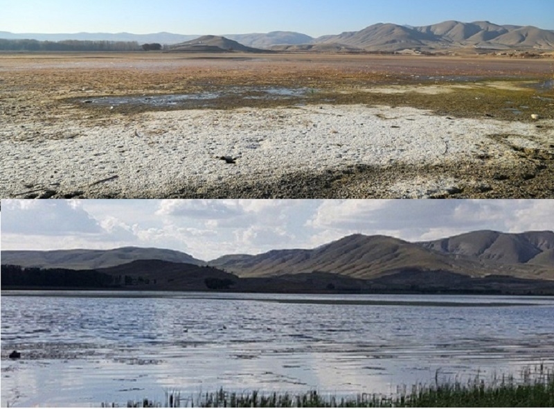 Ekoloji problem - Qurugöl həmişəlik məhv ola bilər