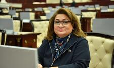 “Zəfər Günü xalqımızın sarsılmaz iradəsinin və milli birliyinin təntənəsidir”