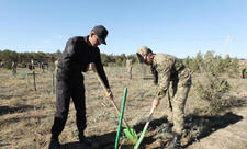 DİN əməkdaşları Zəfər Günü ilə əlaqədar ağacəkmə aksiyası keçirib - VİDEO
