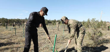 DİN əməkdaşları Zəfər Günü ilə əlaqədar ağacəkmə aksiyası keçirib - VİDEO