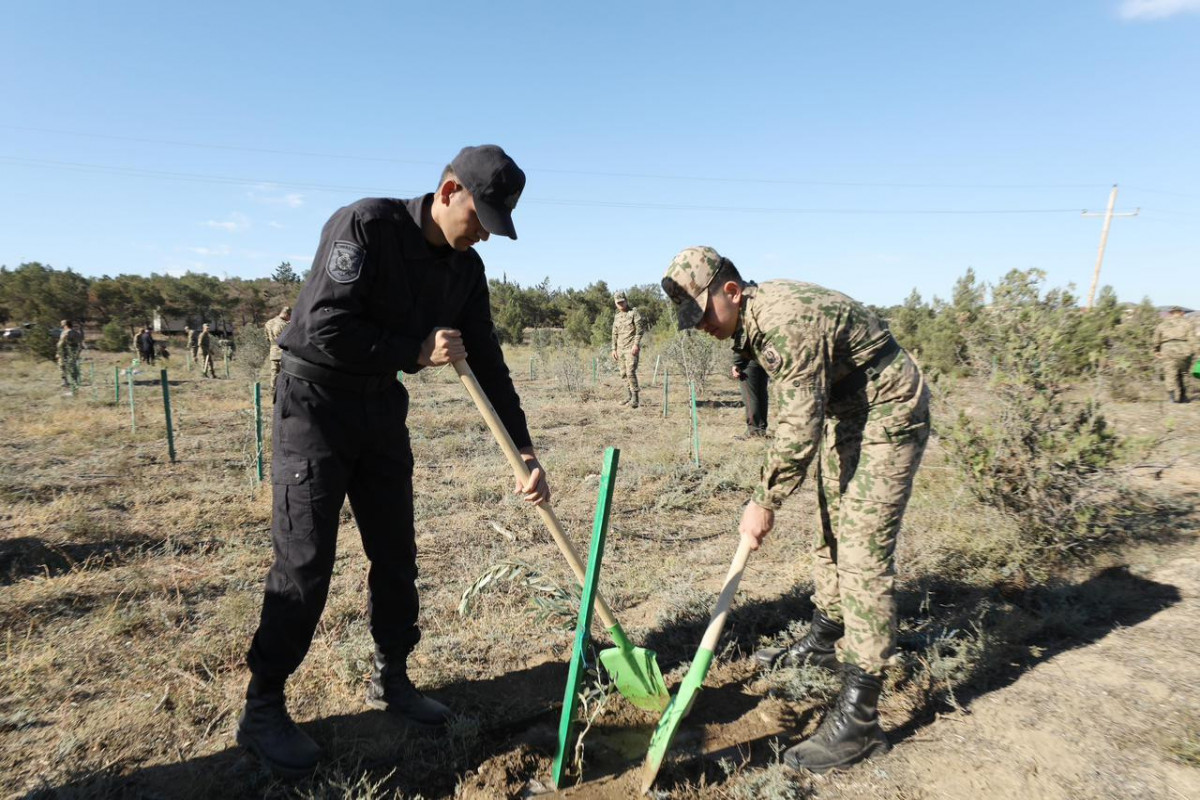 DİN əməkdaşları Zəfər Günü ilə əlaqədar ağacəkmə aksiyası keçirib - VİDEO