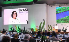 COP30-da Azərbaycanın təşkilatçılığıyla COP29-da əldə edilən nailiyyətlər açıqlanıb