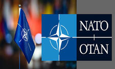 NATO Baş katibinin köməkçisi: Azərbaycanla tərəfdaşlıq və dialoq müsbət inkişaf edir