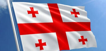 Gürcüstanın 7 müxalif partiyası birləşmək qərarı verib