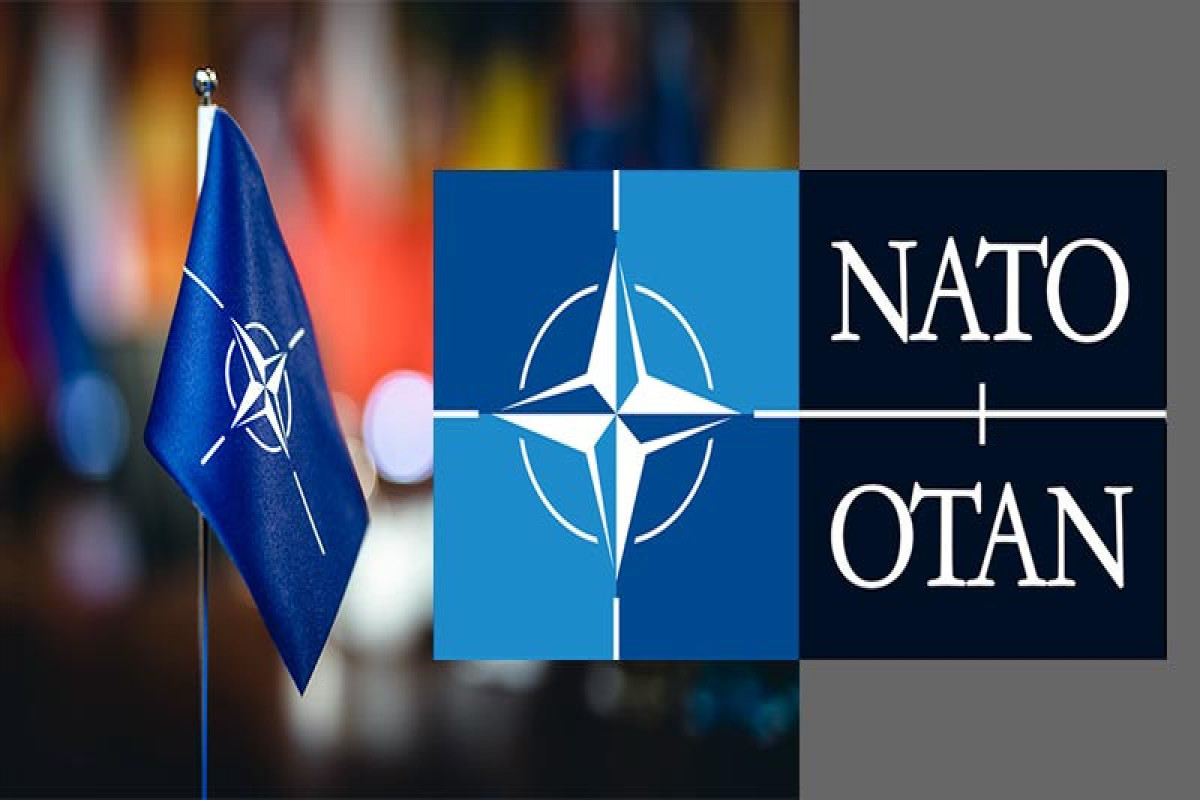 NATO Baş katibinin köməkçisi: Azərbaycanla tərəfdaşlıq və dialoq müsbət inkişaf edir